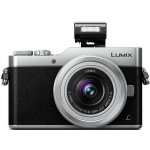 Panasonic Lumix DC-GX800 návod, fotka