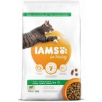 Iams for Vitality Cat Adult Lamb 10 kg – Zboží Dáma