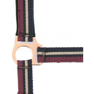 NORTON Ohlávka s vodítkem "BRILLANT" Fialová – Zboží Dáma