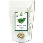 Salvia Paradise Přeslička rolní nať mletá 100 g – Hledejceny.cz