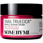 Some By Mi Snail Truecica Miracle Repair Cream 60 ml – Zboží Mobilmania