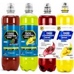 Z Konzept 1500 L-Carnitine drink 750 ml – Hledejceny.cz