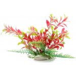 JK Animals Ludwigia zelená 14–17 cm – Zboží Mobilmania