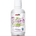 Amix CarniLine Pro Fitness + Bioperine 480 ml – Hledejceny.cz