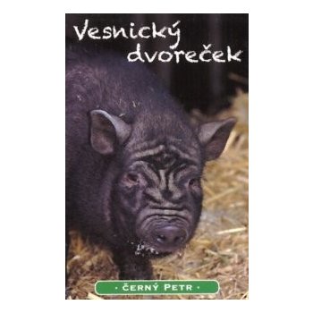 Mičánek Černý Petr: Vesnický dvoreček