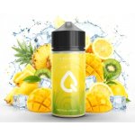 Infamous Liqonic Tropical Lemonade 10 ml – Sleviste.cz
