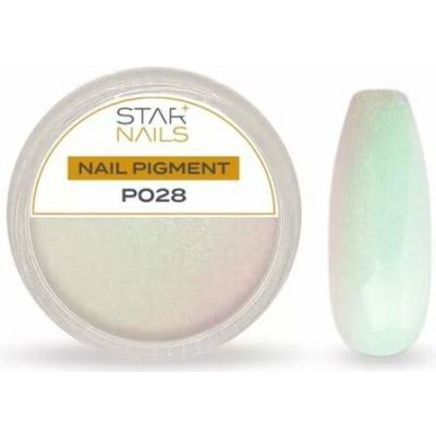 Starnails Nail Art zdobení pigment P028 – Zboží Mobilmania