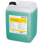 RENOLIT CLASSIC odstraňovač mastnoty 10 l – Sleviste.cz