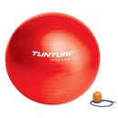 TUNTURI GymBall s pumpičkou 65 cm