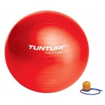 TUNTURI GymBall s pumpičkou 65 cm – Sleviste.cz