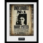 Harry Potter Zarámovaný plakát - Nežádoucí č. 1 – Hledejceny.cz