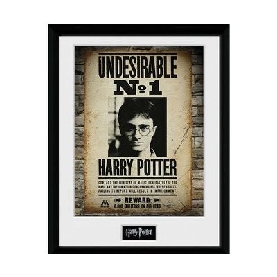 Harry Potter Zarámovaný plakát - Nežádoucí č. 1 – Hledejceny.cz