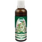 Naděje Brusinka tinktura z pupenů rostlin 50 ml – Hledejceny.cz