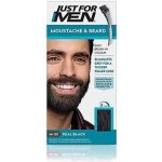 Just For Men Hair Mustache And Beard M-55 REAL BLACK černá – Zboží Dáma