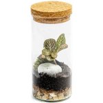 Gardners Skleněná váza Bacopa s korkovým špuntem - výška 14 cm, průměr 6,5 cm - osázené vlhkomilně – Hledejceny.cz