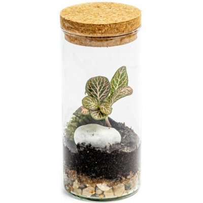 Gardners Skleněná váza Bacopa s korkovým špuntem - výška 14 cm, průměr 6,5 cm - osázené vlhkomilně – Hledejceny.cz