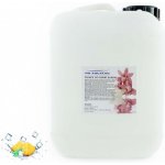 PM Aqualog esence do parních kabin ledový ananas 919-005/D 5 l – Hledejceny.cz