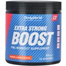 BodyWorld Boost 300 g