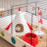 Ferplast Criceti 9 Space Klec pro křečky White 46 x 29,5 x 23 cm – Zboží Dáma