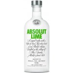 Absolut Lime 40% 0,7 l (holá láhev) – Zboží Dáma