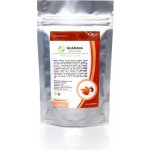 Naturalis Guarana 100 g – Zboží Mobilmania