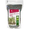 Osivo a semínko Zdravý den Brokolice BIO semena na klíčení 200 g