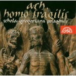 Schola Gregoriana Pragensis - Ach, homo fragilis CD – Zboží Mobilmania