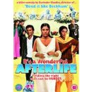 It's A Wonderful Afterlife DVD