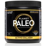 Planet Paleo Hydrolyzovaný hovězí kolagen ACTIVE 210 g – Hledejceny.cz