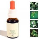 Bachova květinová terapie Agresivita 25 ml – Hledejceny.cz
