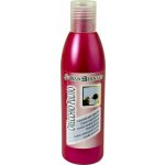 IV SAN BERNARD roztok na čištění uší 250 ml – Zbozi.Blesk.cz