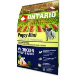 Ontario Puppy Mini Chicken & Potatoes & Herbs 6,5 kg – Hledejceny.cz