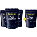 Sportega Pure Creatine Monohydrate Creapure 750 g – Zboží Mobilmania