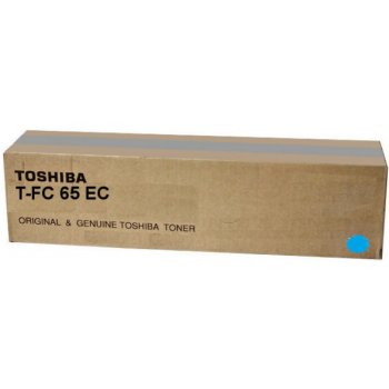 Toshiba 6AK00000179 - originální