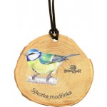 Lesní svět Dřevěná medaile letokruh sýkora modřinka – Zboží Dáma