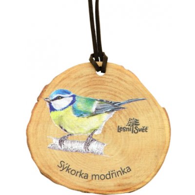 Lesní svět Dřevěná medaile letokruh sýkora modřinka – Zboží Dáma