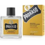 Proraso Wood & Spice balzám na vousy 100 ml – Zboží Dáma