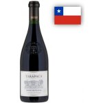 Tarapacá Cabernet Sauvignon Gran Reserva 2022 14% 0,75 l (holá láhev) – Hledejceny.cz