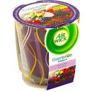 Air Wick Essential Oils Infusion Berries & Spice 105 g