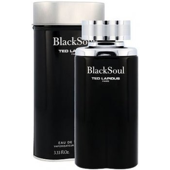 Ted Lapidus Black Soul toaletní voda pánská 100 ml