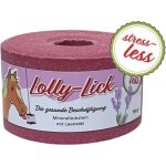S.I.N. Hellas Lízátko pro koně Lolly Lick Levandule 0,75 kg – Hledejceny.cz