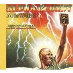 Alpha Blondy - Jerusalem CD – Hledejceny.cz