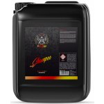 RRCustoms Bad Boys Shampoo Orangeade 5 l – Zboží Mobilmania