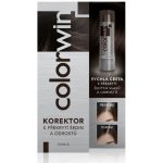 Colorwin korektor na krytí šedin a odrostů černý 4 6 g – Zboží Dáma Colorwin korektor na krytí šedin a odrostů černý 4 6 g – Zboží Dáma