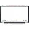 displej pro notebook Lenovo IdeaPad 320 80XJ display 17.3" LED LCD displej WUXGA Full HD 1920x1080 matný povrch