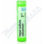 HEPAR SULFURIS CALCAREUM POR 5CH GRA 4G – Hledejceny.cz