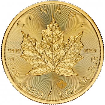 Royal Canadian Mint Maple Leaf zlatá mince 50 CAD stand 1 oz