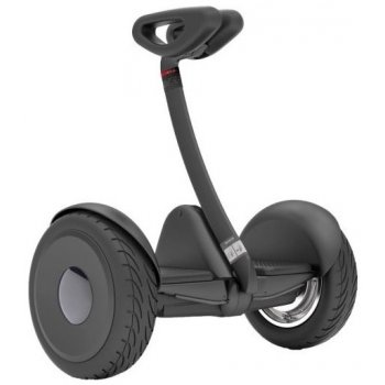 Ninebot Segway S