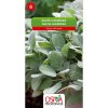 Osivo a semínko Semínka Šalvěj lékařská (Salvia officinalis)