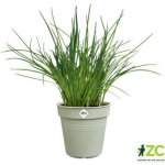 Elho Květináč Green Basics 21 cm šedozelený – Zboží Mobilmania